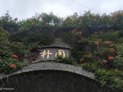 -朴园