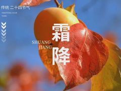 -裕和堂中医推拿艾灸(太古汇臻品店)