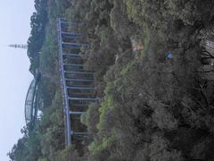 -金鸡山公园