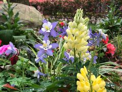 -上海共青森林公园