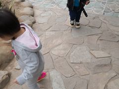 -万源龙顺度假庄园生态观光园