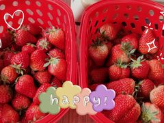 -普迪生态园