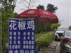 -金水泊山庄·花椒鸡(铁山坪店)