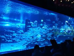 -沈阳海洋探索中心