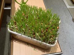 -海底捞火锅(奥森店)