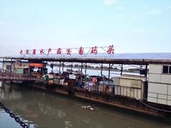 -大湾区中央湿地公园-十九涌