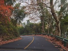 -莫干山风景区