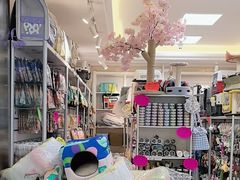 -北京观赏动物医院·24小时大型综合·猫专科·异宠专科