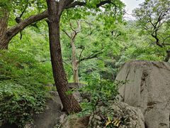 -大岭沟猕猴桃谷风景区