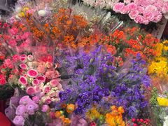 -越秀西湖花市(广州城市广场花卉店)