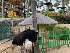 -三亚亚龙湾天域度假酒店