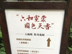 景点-六和塔文化公园