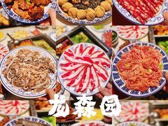 -龙森园火锅(琴台路店)