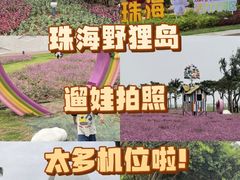 -野狸岛