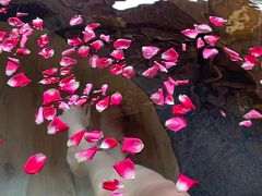 -福州贵安·温泉世界