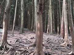 -含鄱口