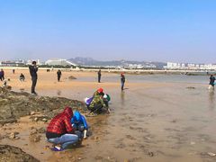 -巧克力渔家.小船海鲜胶东菜(万平口店)