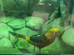 -福州罗源湾海洋世界旅游区