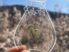 -崂山九水游览区