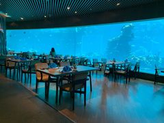 -海棠湾洲际-涛·海底餐厅·美人鱼·自助餐·海底隧道