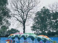 -南湖梦幻岛