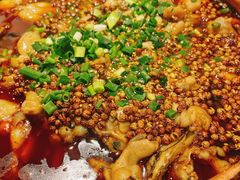 -向川南·水煮鱼·川菜(和平里店)