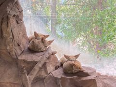 -长鹿旅游休博园