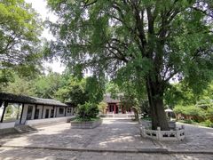 -苏州上方山国家森林公园