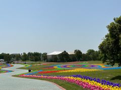 -洪湖湿地生态园