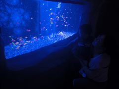 -常州海昌海洋探索馆