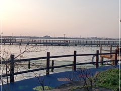 -鹅湖玫瑰文化园