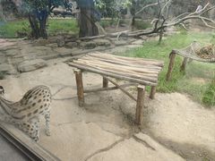 -杭州野生动物世界