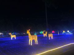 -广东花都香草世界旅游度假区