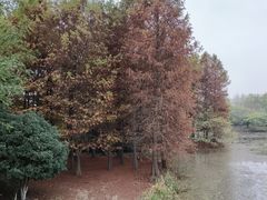 -梁鸿国家湿地公园