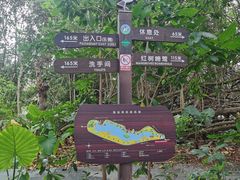 -华侨城湿地公园