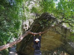 -秦岭终南山世界地质公园翠华山景区