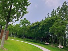 -上海长兴岛郊野公园