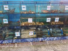 水产区-范饭椰林川湘味海鲜·椰子鸡(三亚湾椰梦长廊店)