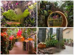 -正佳雨林生态植物园