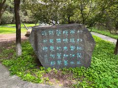 -高尔山公园