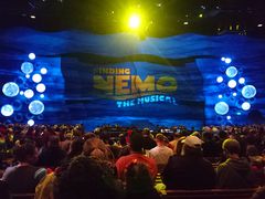 -奥兰多迪士尼动物王国乐园