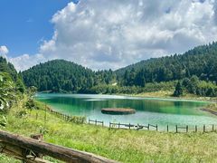 -武陵山森林公园