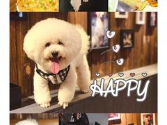 -百好乐宠物友好餐厅(朝外大街店)