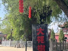 -大槐树寻根祭祖园