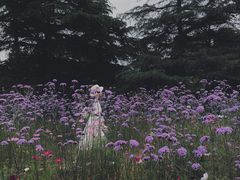 -上海滨江森林公园