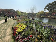-苏州上方山国家森林公园