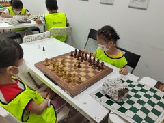 -常青藤国际象棋(新奥店)