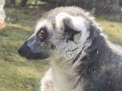 -哈尔滨北方森林动物园