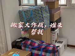 -骆驼日式搬家收纳整理