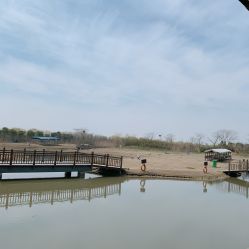 点击看大图 -水八仙生态园